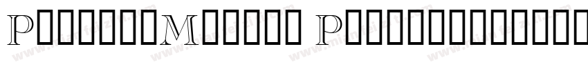 RusskijModern Regular字体转换